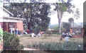 Malawi018.jpg (138211 bytes)