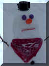 RuarkSnowman94.jpg (46776 bytes)