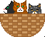 catbask1.gif (713 bytes)